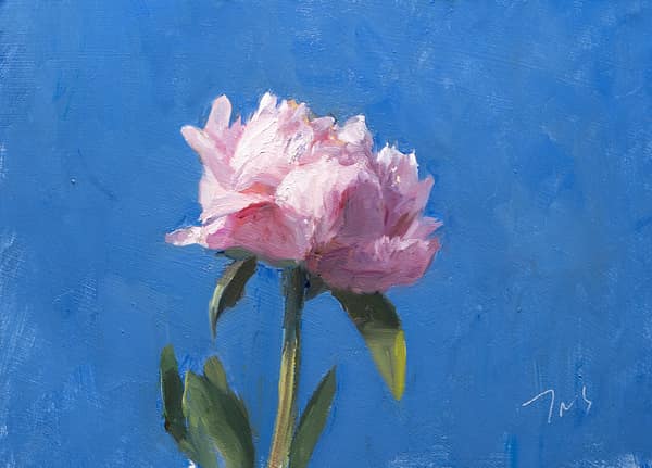Peony on blue ground