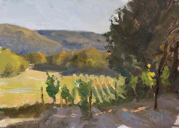 Vines at the Grange Neuve