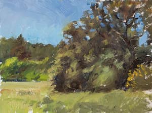 The old oak tree