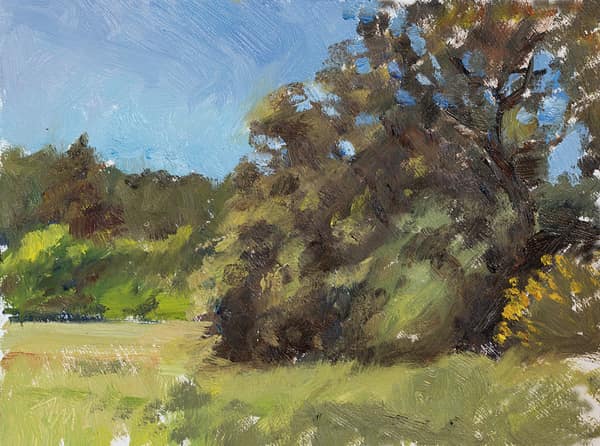 The old oak tree