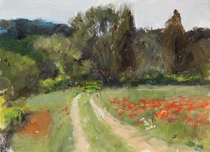 Poppies