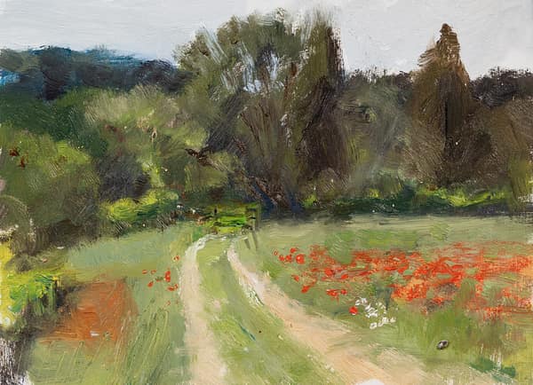 Poppies