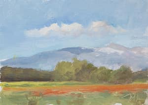Ventoux with poppy field