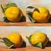 Four lemon paintings