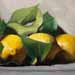 Lemons (Citrons feuilles)