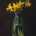 Jonquils