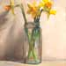 Jonquils in a spice jar