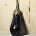 Aubergine, painted 12 September 2026